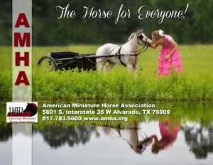 American Miniature Horse Association