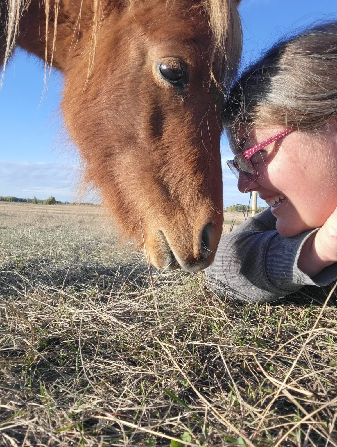 How to Stop Your Miniature Horse From Biting Without Hitting Them