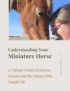 Understanding Your Miniature Horse Book