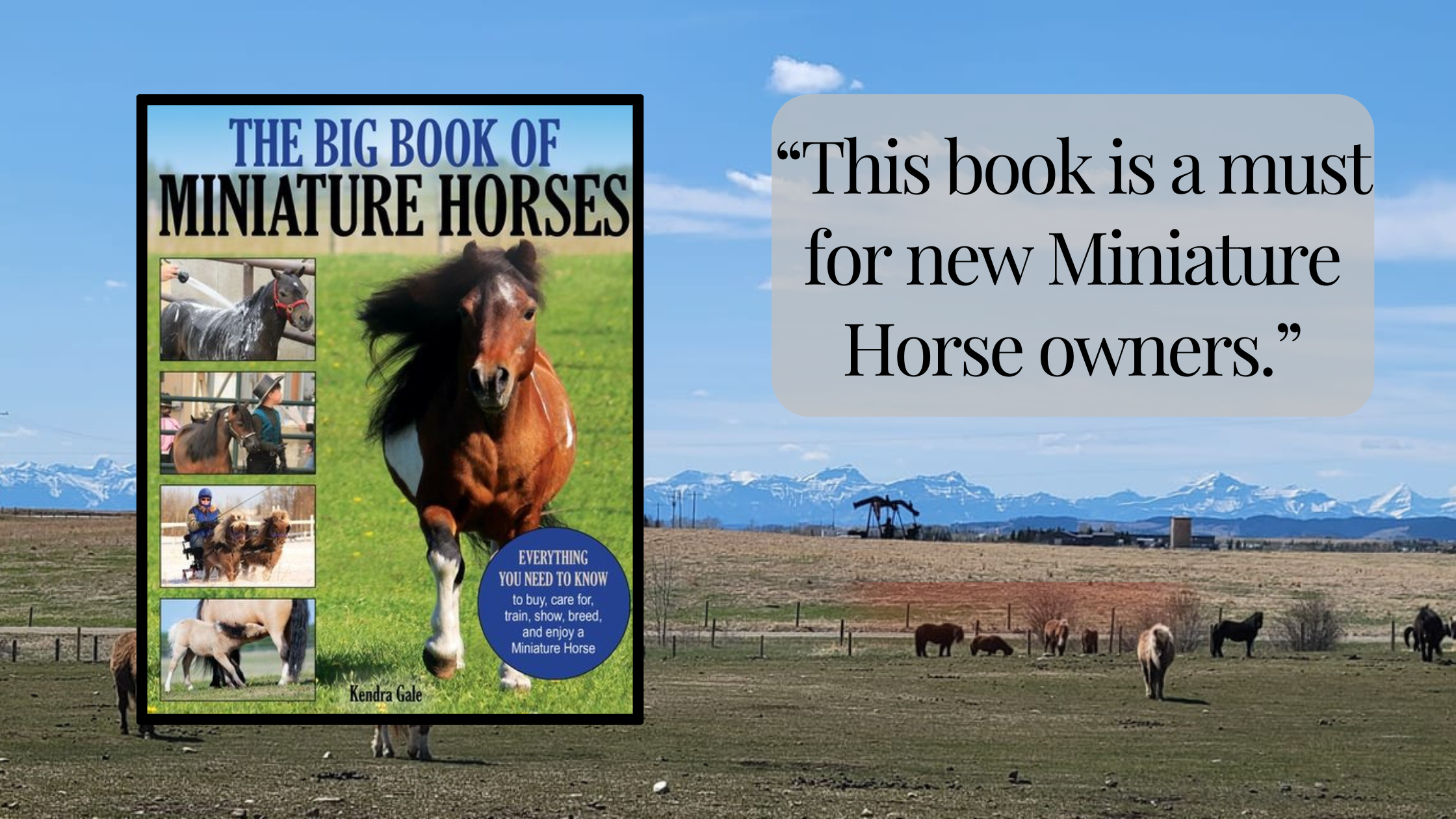 The Big Book Of Miniature Horses