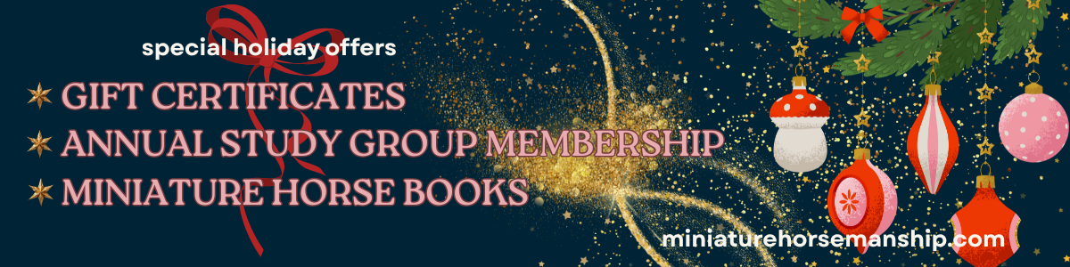 Blue Red Festive Christmas Holiday Offer Etsy Shop Cover